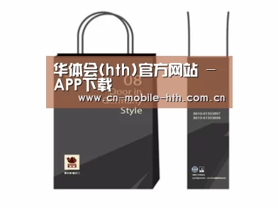项目名称十四