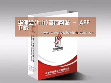 项目名称十三