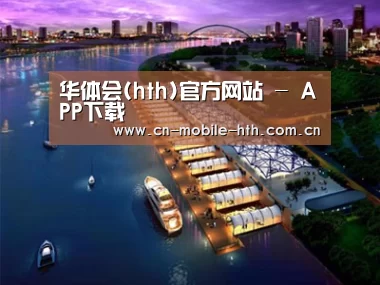 案例展示八